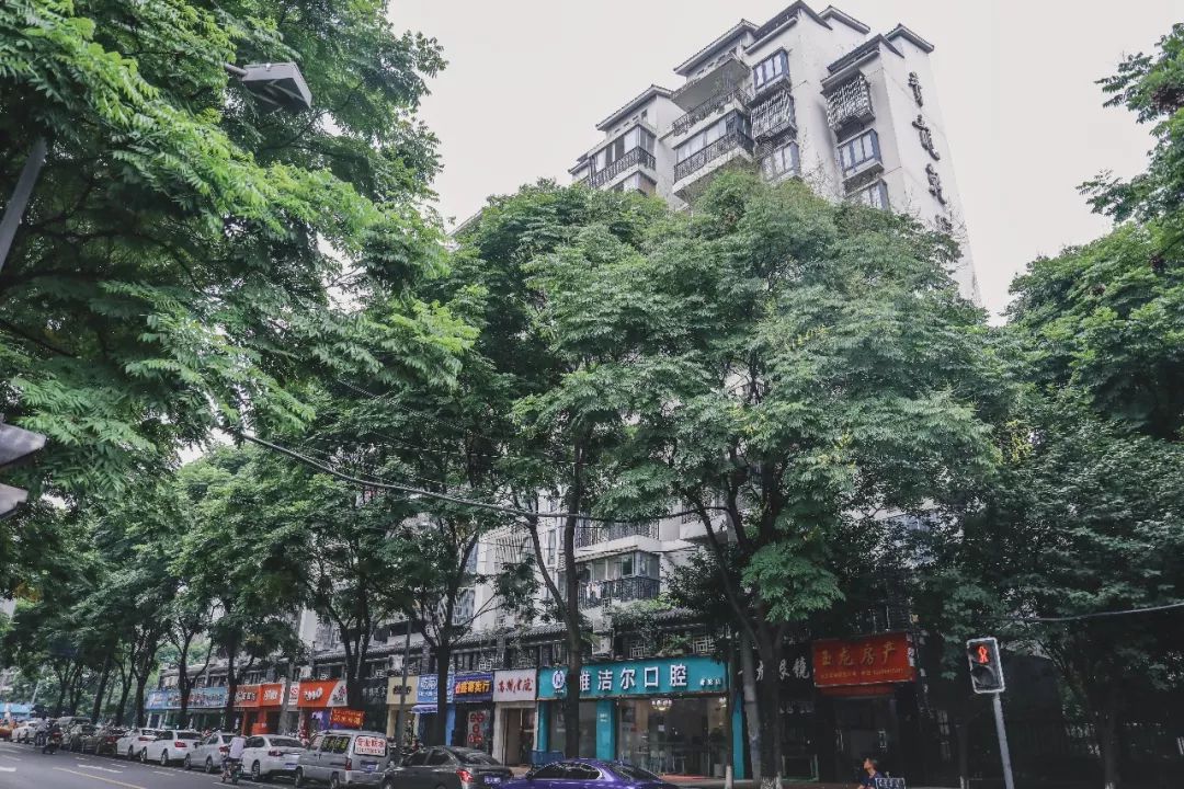 成都历史老照片,成都护城河老照片