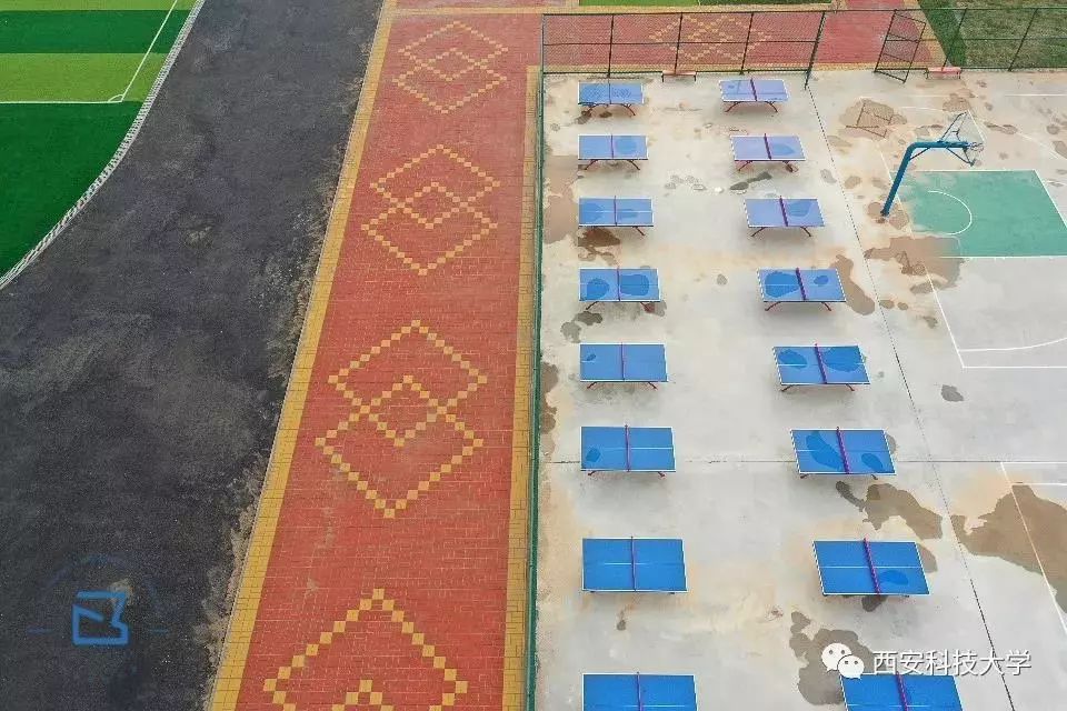 颜值高的学校有哪些,颜值高的名牌大学