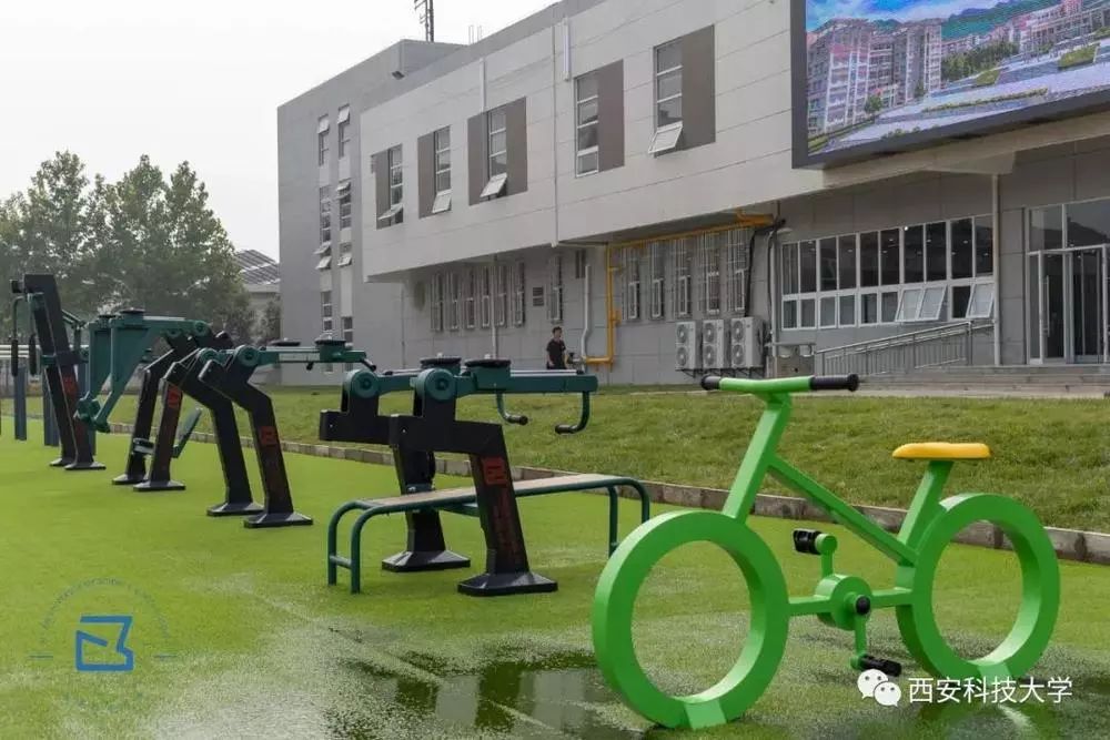 颜值高的学校有哪些,颜值高的名牌大学