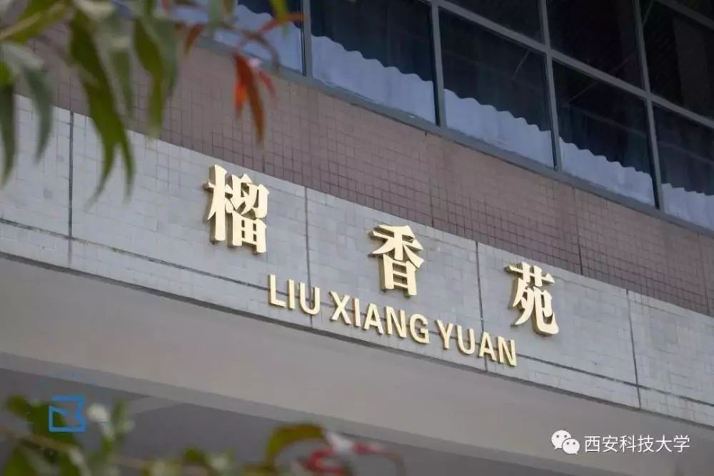 颜值高的学校有哪些,颜值高的名牌大学