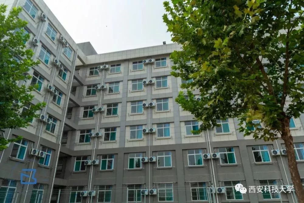 颜值高的学校有哪些,颜值高的名牌大学