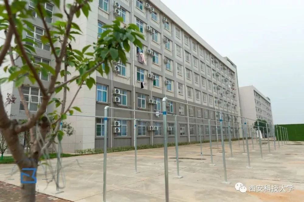 颜值高的学校有哪些,颜值高的名牌大学