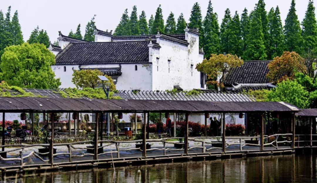 鍖讳繚鍗$綉涓婃寕澶卞拰琛ュ姙,鍖讳繚鍗$綉涓婃寕澶卞拰瑙i櫎鎸傚け