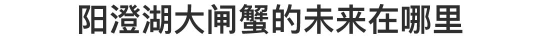 阳澄湖大闸蟹大部分是洗澡蟹吗,阳澄湖大闸蟹洗澡