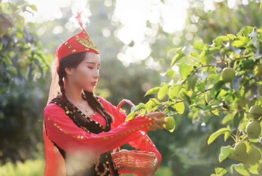 英国女王口中的“果品王子”，库尔勒香梨的正宗之战还在继续