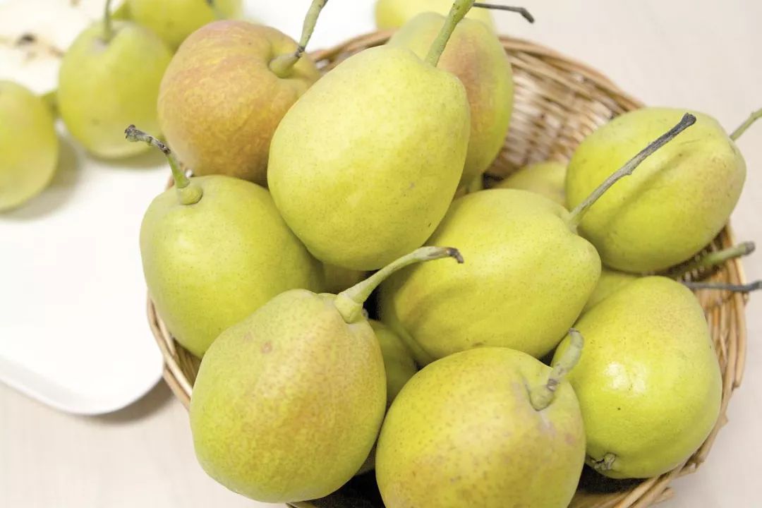 英国女王口中的“果品王子”，库尔勒香梨的正宗之战还在继续