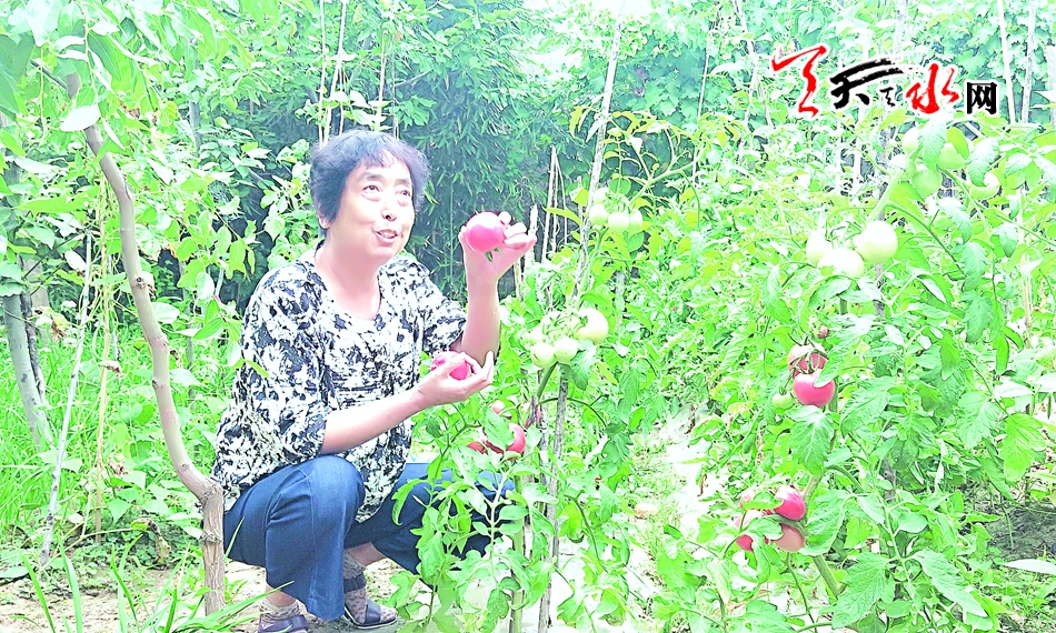 追寻革命足迹聆听红色记忆,追寻红色记忆祭奠革命先烈的感悟