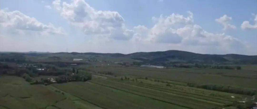 新法来了：未批准进口的药品不再列为假药|农村集体土地可直接入市