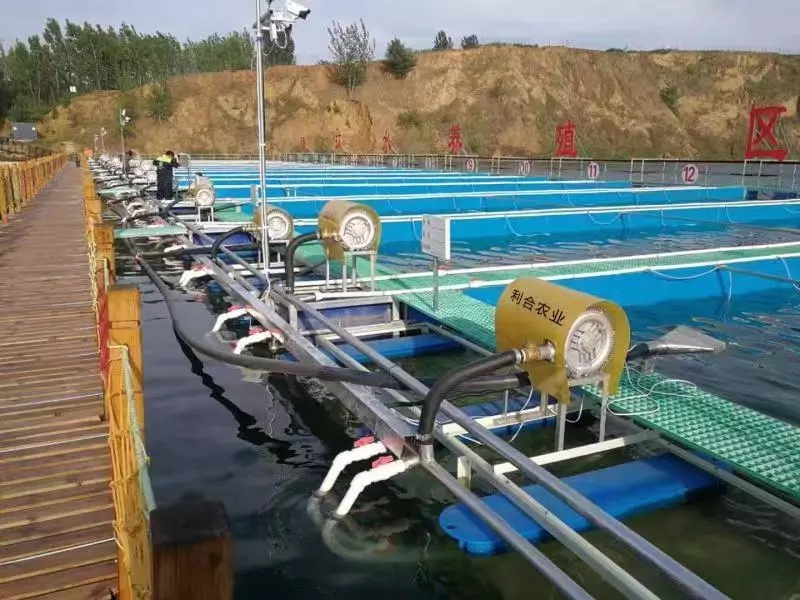 矿坑养鱼行不行,矿坑适合网箱养鱼吗