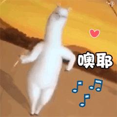 留学报名直播,留学申请咨询活动流程