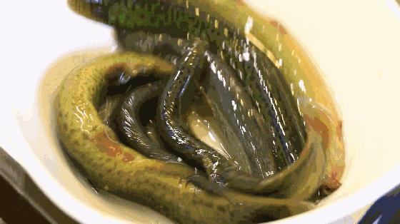 男子生吞一条活泥鳅险丢命,男子吃活泥鳅死亡