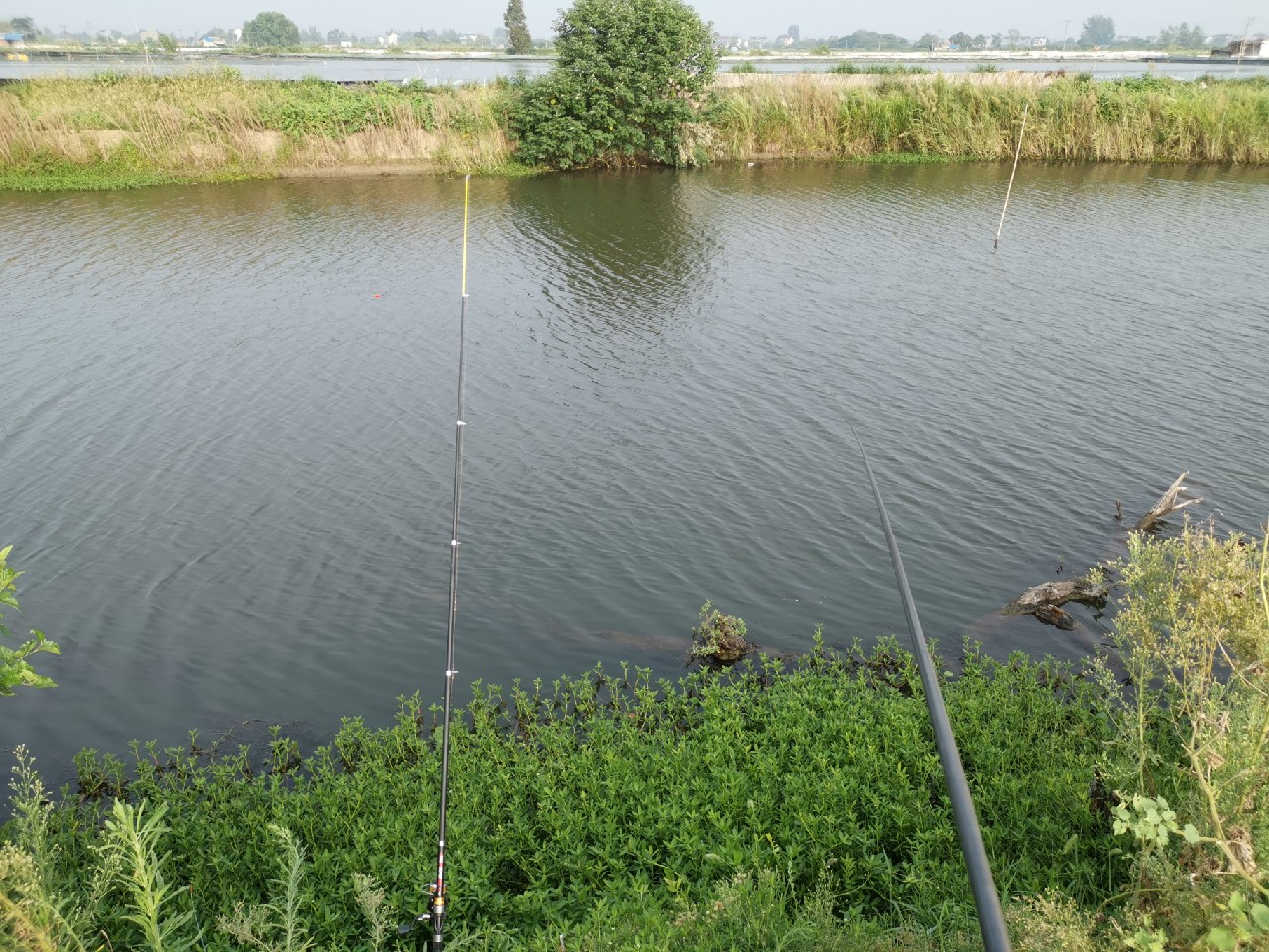 野河大板鲫钓着过瘾还好吃,野河大板鲫喜欢吃什么样的饵料