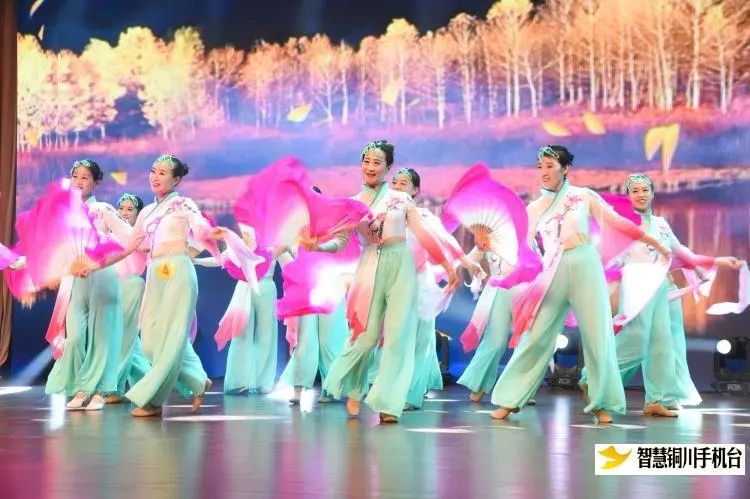 舞林大会海选,舞林大会所有明星名单