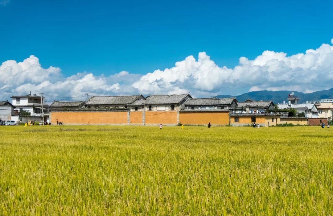 世界观丨在华美国企业家：抱歉，总统先生，我们不走