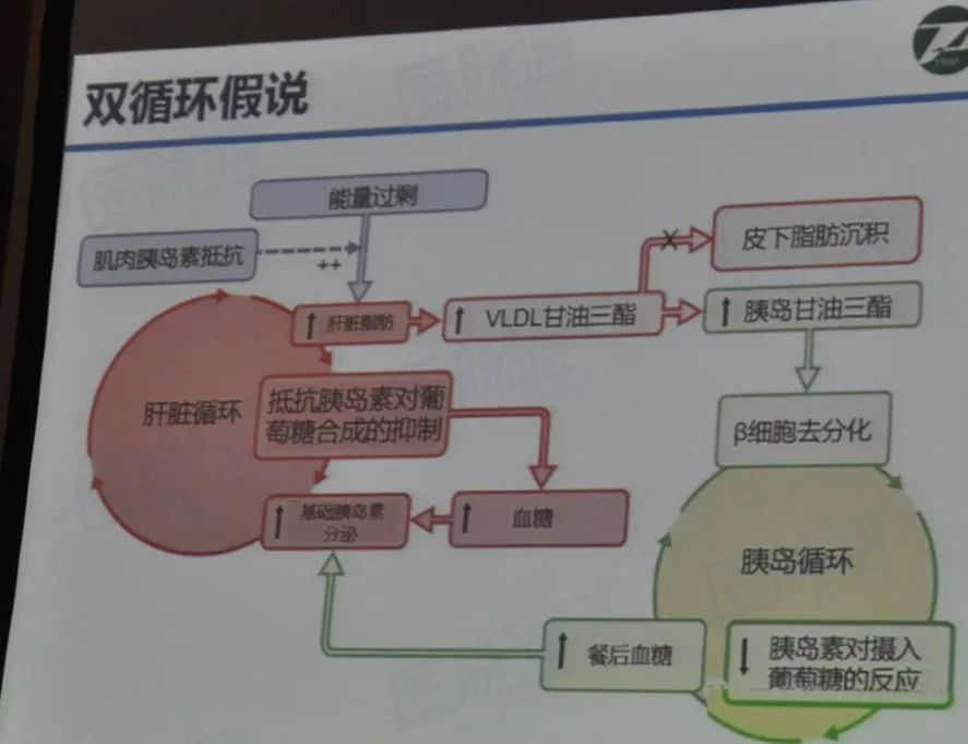 余学锋教授:2型糖尿病缓解的定义及标准|CSE2019