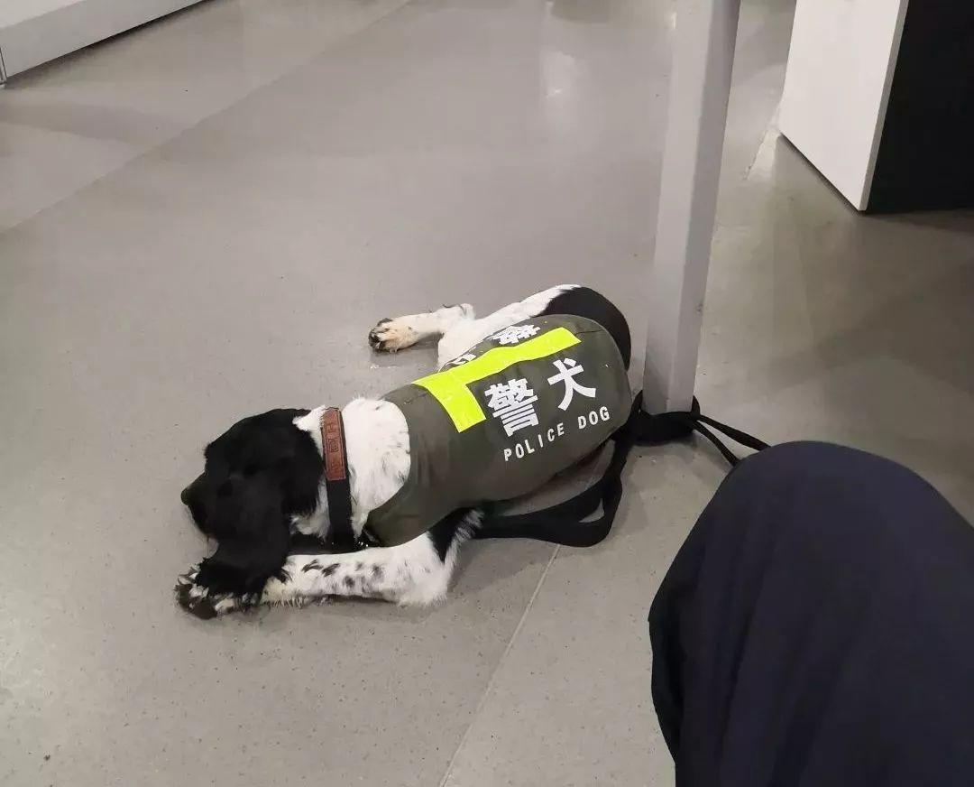 寻找最美基层民警,寻找2011年最美基层民警