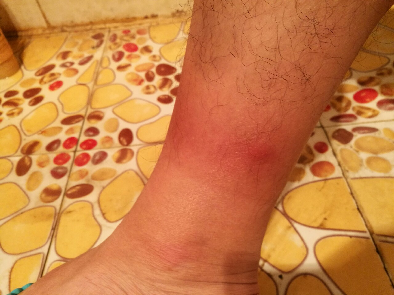 钓鱼爆护口诀100句,为钓鱼付出过哪些努力