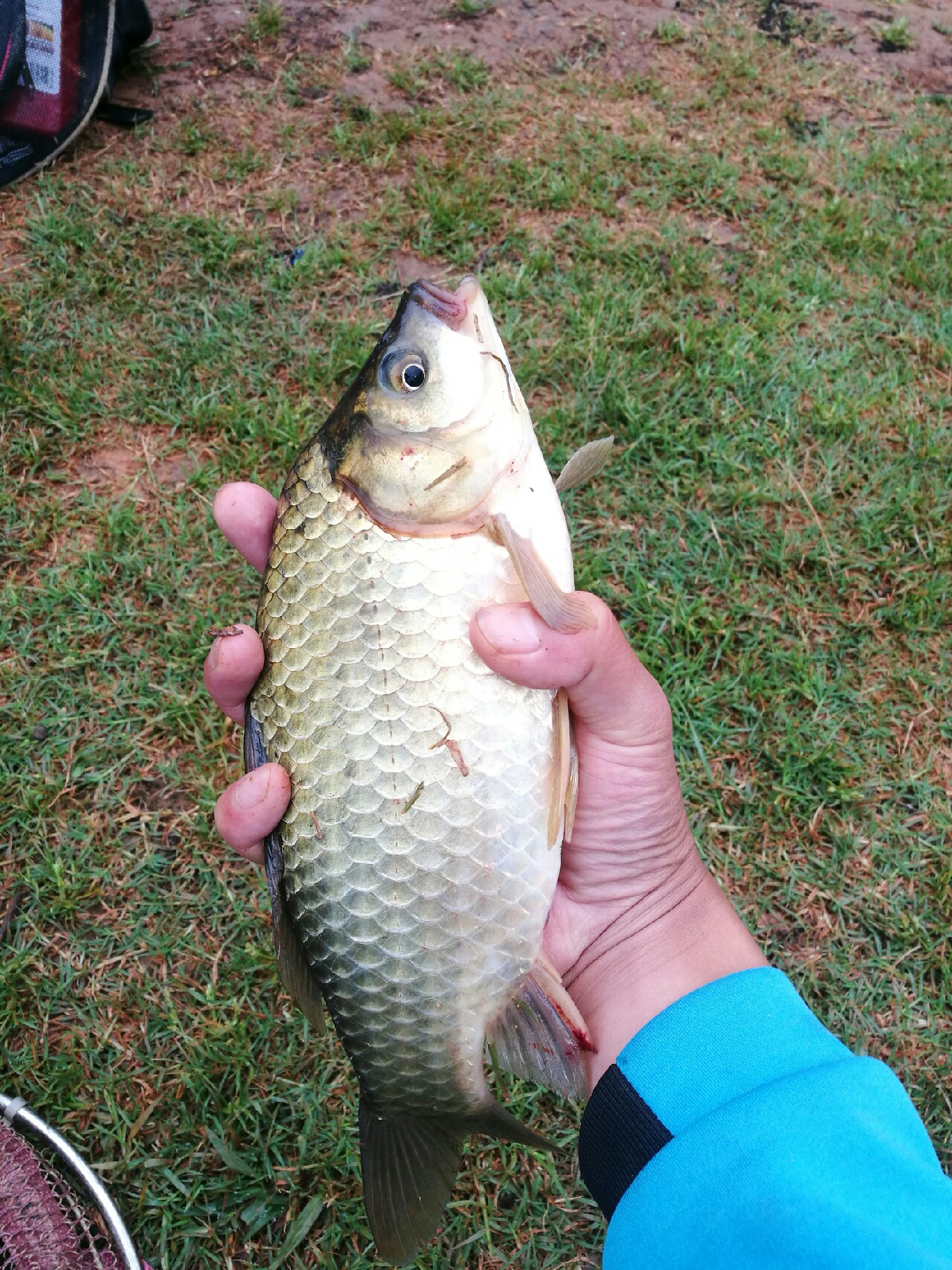 钓鱼爆护口诀100句,为钓鱼付出过哪些努力