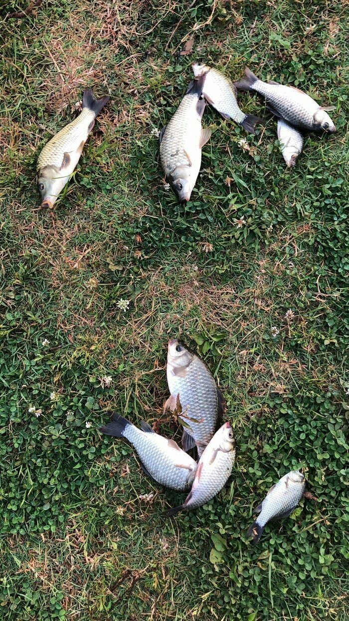 钓鱼爆护口诀100句,为钓鱼付出过哪些努力