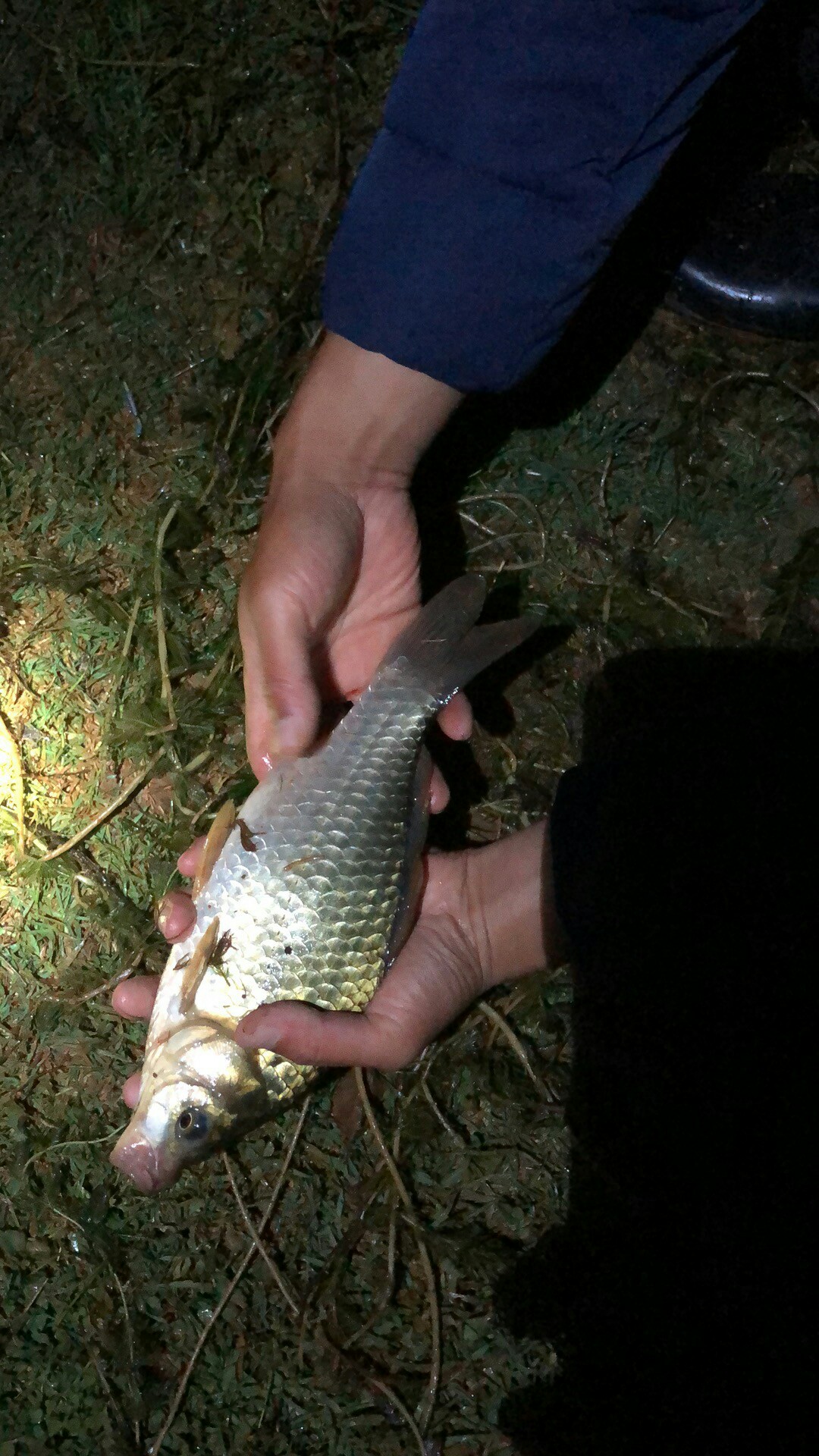 钓鱼爆护口诀100句,为钓鱼付出过哪些努力