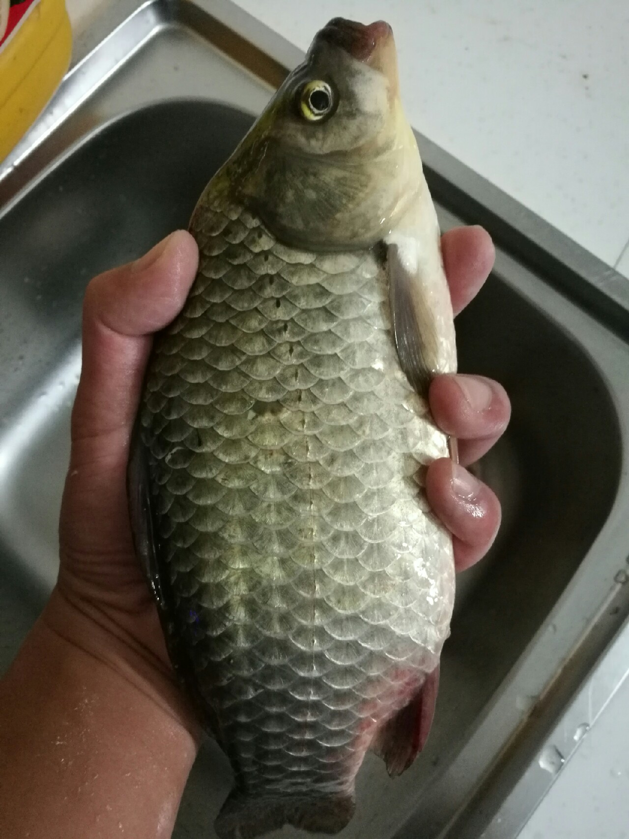 钓鱼爆护口诀100句,为钓鱼付出过哪些努力