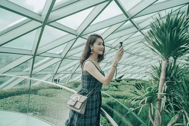 新加坡最美的机场有什么好玩的,新加坡机场免费观光之旅