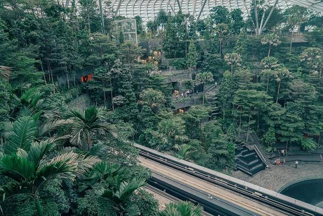 新加坡最美的机场有什么好玩的,新加坡机场免费观光之旅