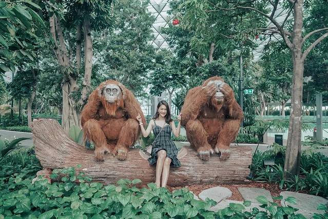 新加坡最美的机场有什么好玩的,新加坡机场免费观光之旅