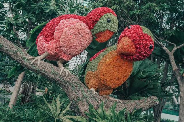 新加坡最美的机场有什么好玩的,新加坡机场免费观光之旅