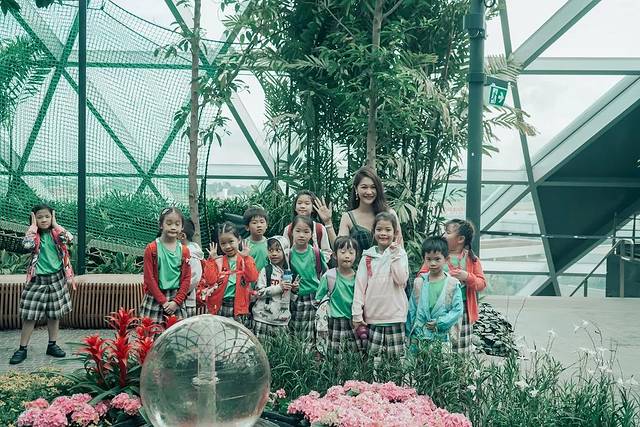 新加坡最美的机场有什么好玩的,新加坡机场免费观光之旅