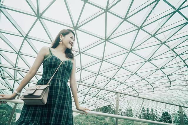 新加坡最美的机场有什么好玩的,新加坡机场免费观光之旅