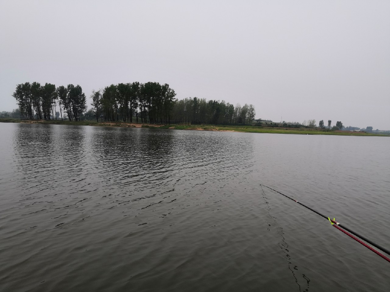 花钱钓鱼鱼可以拿回去吗,钓鱼珍惜资源才是王道