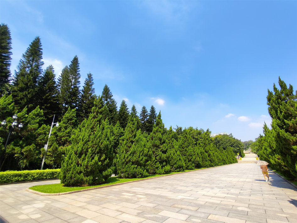 魅族16spro拆解,魅族16spro跑分