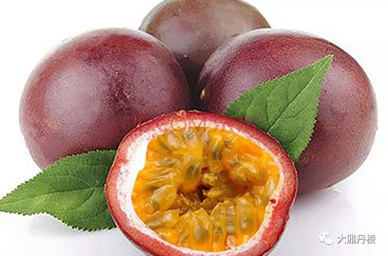 丹棱新水果,2022年新水果品种百香果