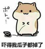 雨后常见的大蜗牛有什么危害,深圳雨后的大蜗牛是保护动物吗