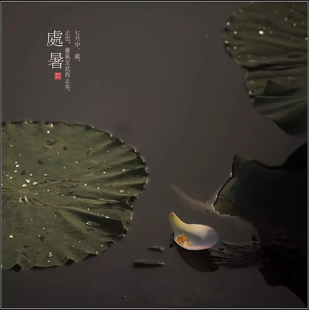 胡渐逵：处女、处士、处暑的“处”当作何解