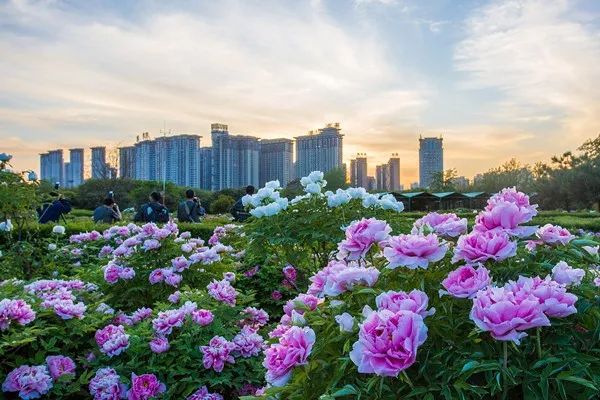 刷屏！一份考卷难倒了洛阳人，全答对的人没几个…