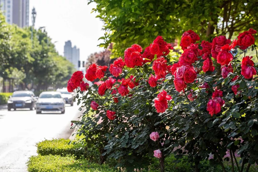 刷屏！一份考卷难倒了洛阳人，全答对的人没几个…