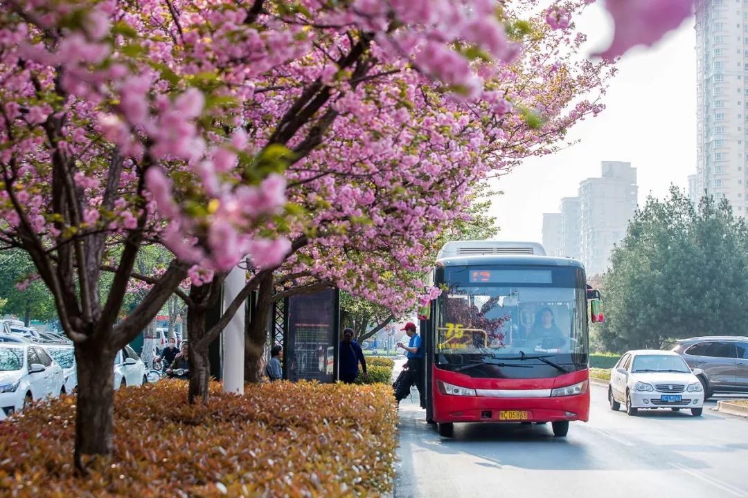 刷屏！一份考卷难倒了洛阳人，全答对的人没几个…