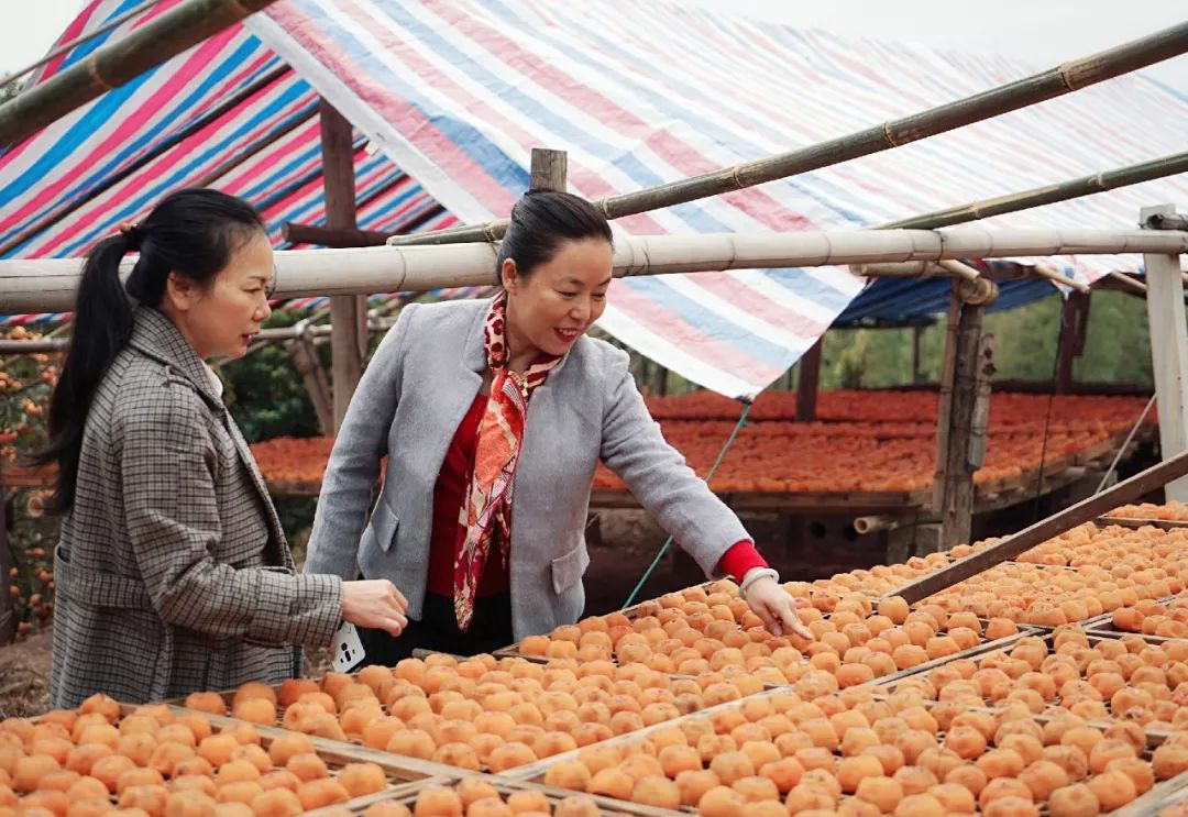 壮丽70年·广西农信丨初心是乡村振兴的“农信力量”!一张“老存折”见证一座村庄的蜕变