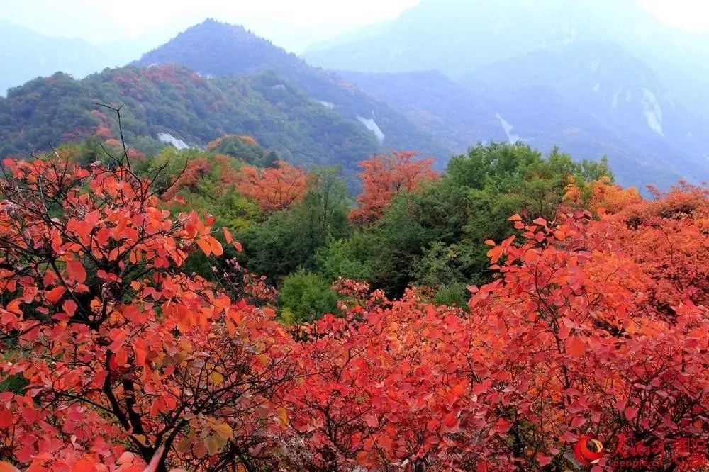 洛阳必打卡,洛阳值得去打卡的地方