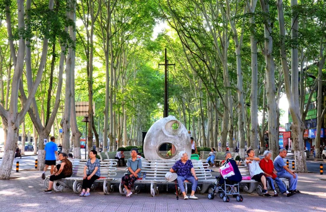 刷屏！一份考卷难倒了洛阳人，全答对的人没几个…