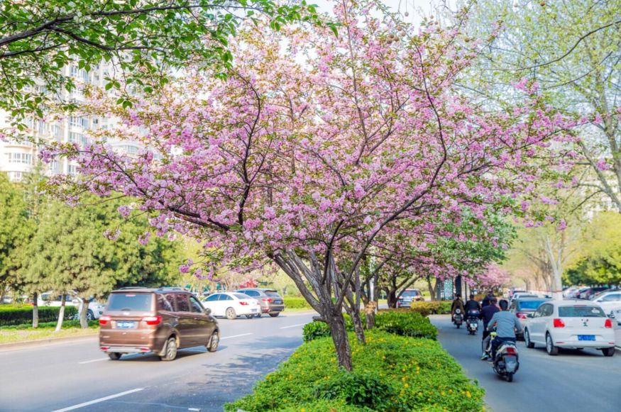 刷屏！一份考卷难倒了洛阳人，全答对的人没几个…