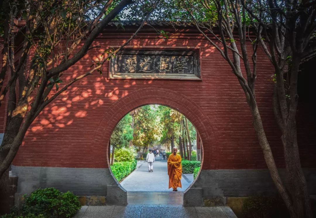 刷屏！一份考卷难倒了洛阳人，全答对的人没几个…