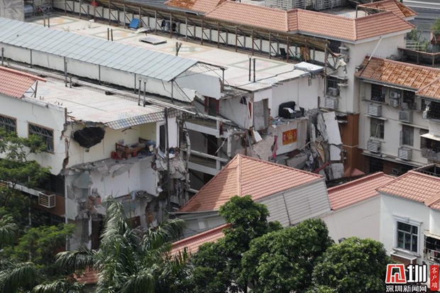 张玲事件后续,张玲事件真相