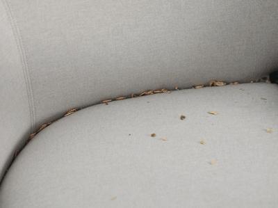 这个吸尘器超轻、迷你、吸力强，哪都能吸丨界界好物馆