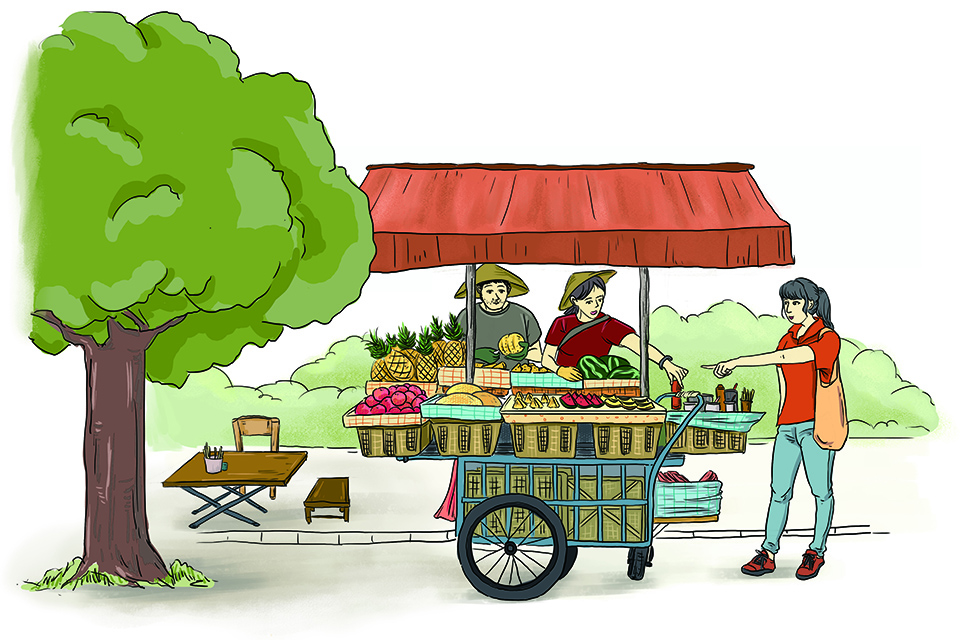 四季凤梨,四季种凤梨