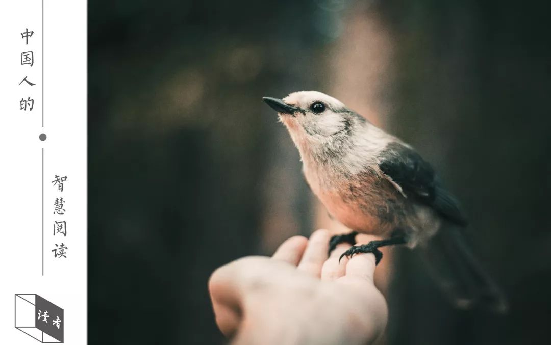 想长寿起码做到这七点,男人如何做到长命百岁