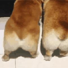 荔枝派：这年头当真有金钱买不来的快乐