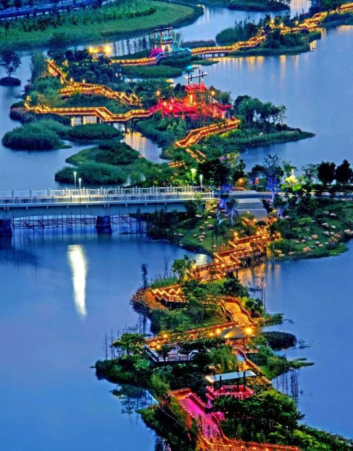 权威发布|这样的花都,太上头了!